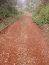 Stretch of the track