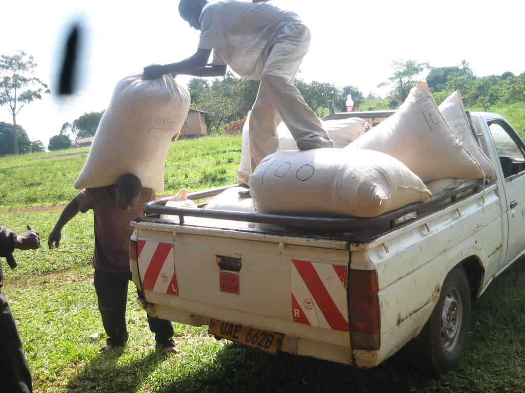 RESTORE HOPE TO 500 UGANDAN ORPHANS  (6-24 YEARS)