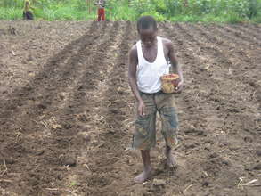 YOUTH PLANTING BEANS TO GET FOOD
