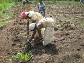 Youth females practising agriculture