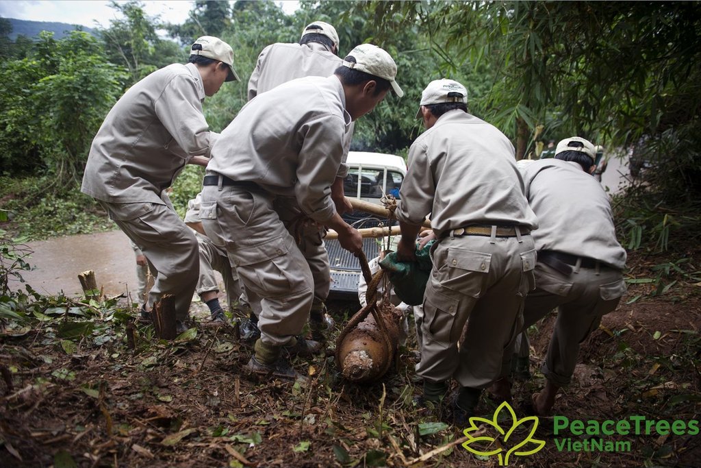 PeaceTrees Vietnam has removed 85,000 UXOs