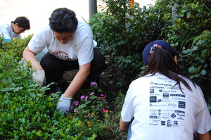Volunteers at Playground Renovation during the Day of Service