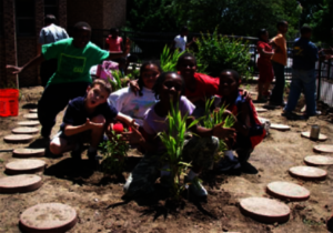 Watkins School Garden