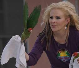 Our founder Brooke Durham releasing conures