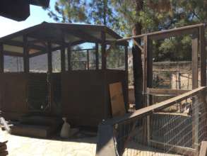Chicken Coop
