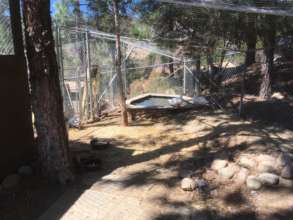Duck Enclosure