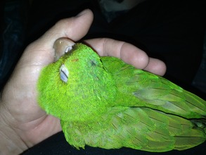 Irie cuddling