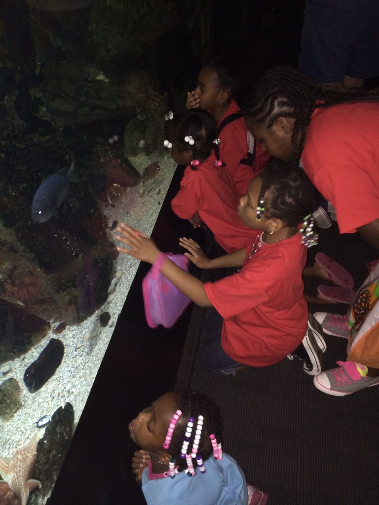 Saving Lives and Minds (SLAM)-- SUMMER CAMP