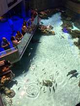 Cool view of the fish