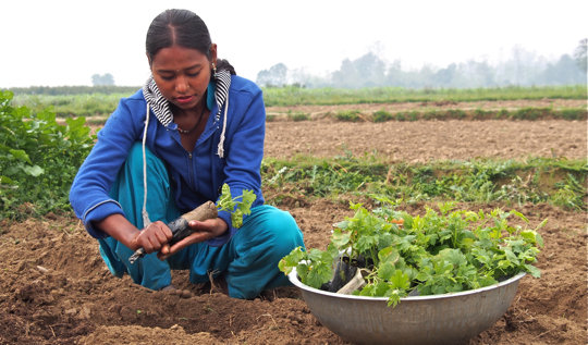 Freedom Loan Fund Campaign