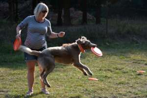 Sofi and dogfrisbee