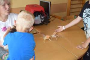 Exotic animals in Thomayer Hospital