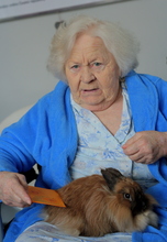 Animal assisted therapy in the elderly
