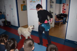 Dogdancing