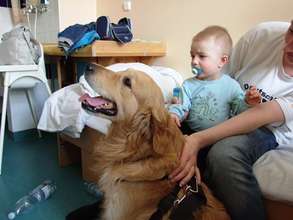 Labrador Jupiter goes to please the  children.