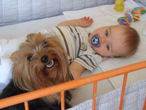 Canistherapy on the children's ward
