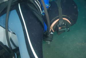 Diver