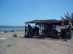 Artisanal Fishing Communities