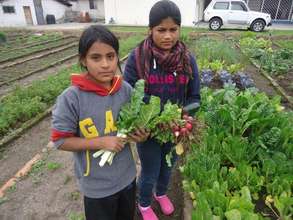 Kevin & His Classmate Pick Nutritious Vegetables