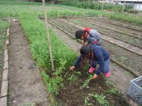 Kevin & His Classmate Work Hard in the Gardens