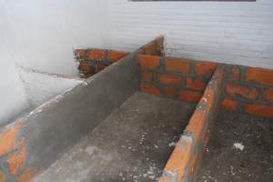 Starting construction of Guinea pig pens