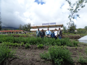 FTW Executive Team at the School Gardens