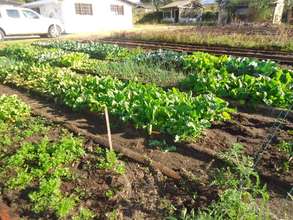 Thriving Garden For Teaching & Mentoring Students