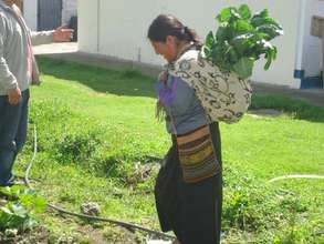 Woman Happily Harvests A Bounteous Crop