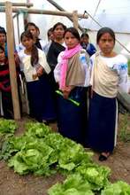 Learning to grow nutritious food changes lives.
