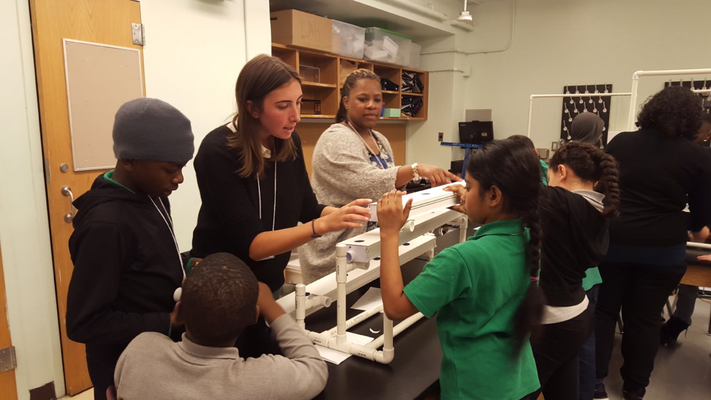 Mentors and students building model system