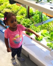 One of our community visitors discovers the farm
