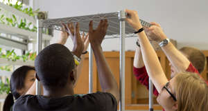 Teens building one of 3 new growing systems