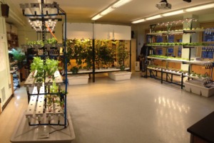Welcome to the student-built classroom farm!
