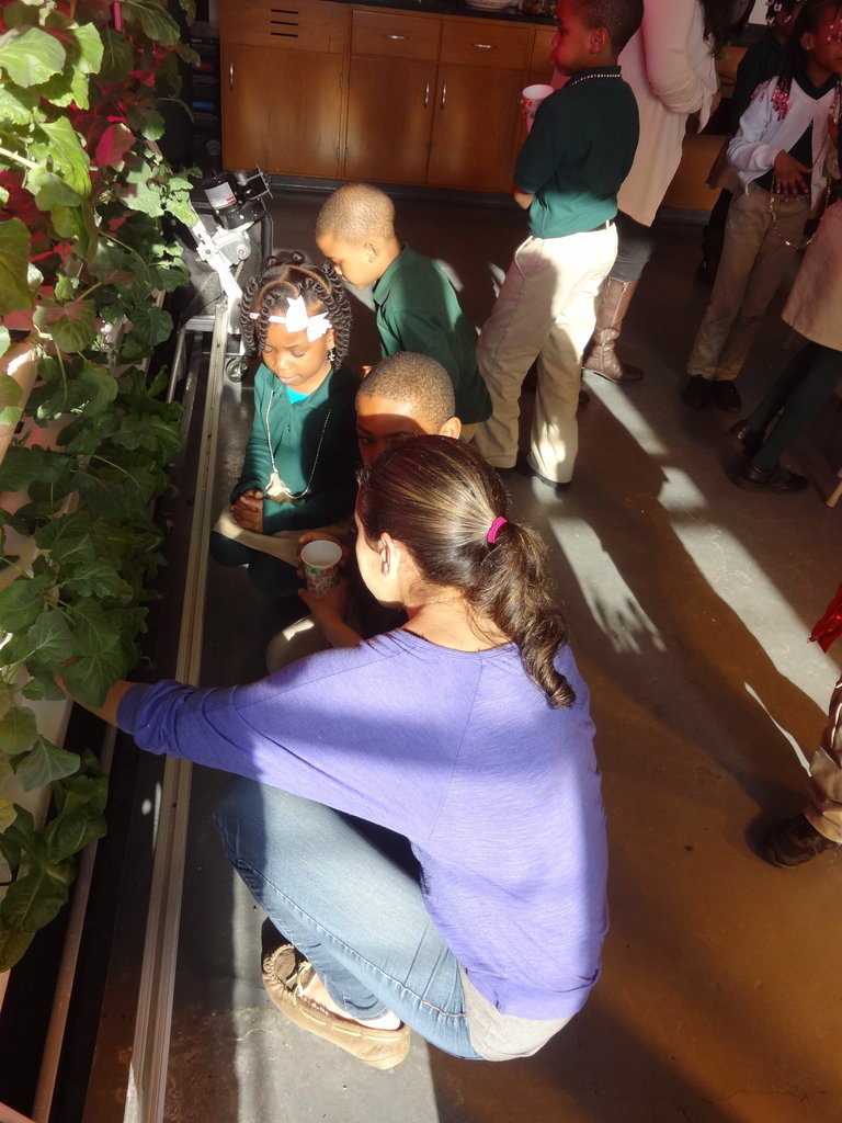 Help Teens Promote Healthy Food Access in NYC