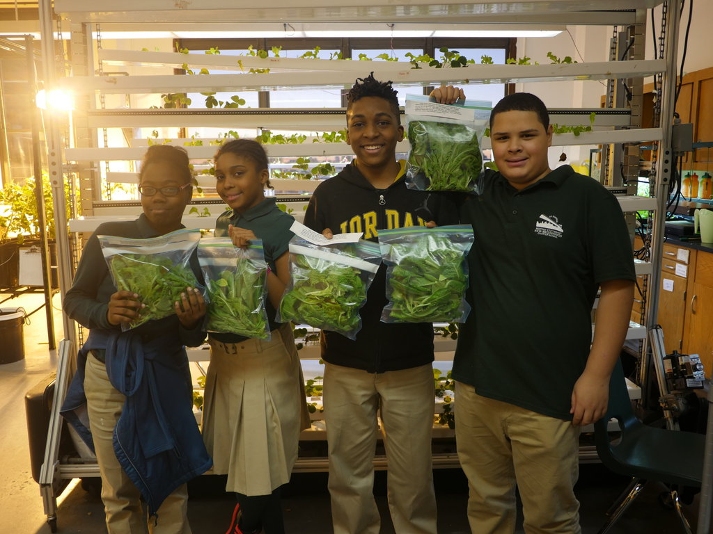 Help Teens Promote Healthy Food Access in NYC