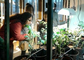 Help Teens Promote Healthy Food Access in NYC