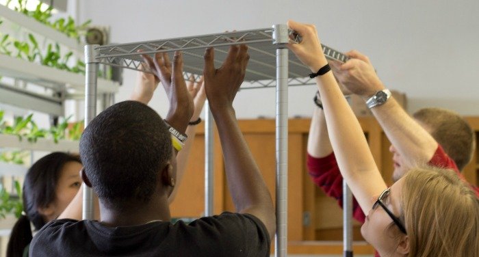 Help Teens Promote Healthy Food Access in NYC