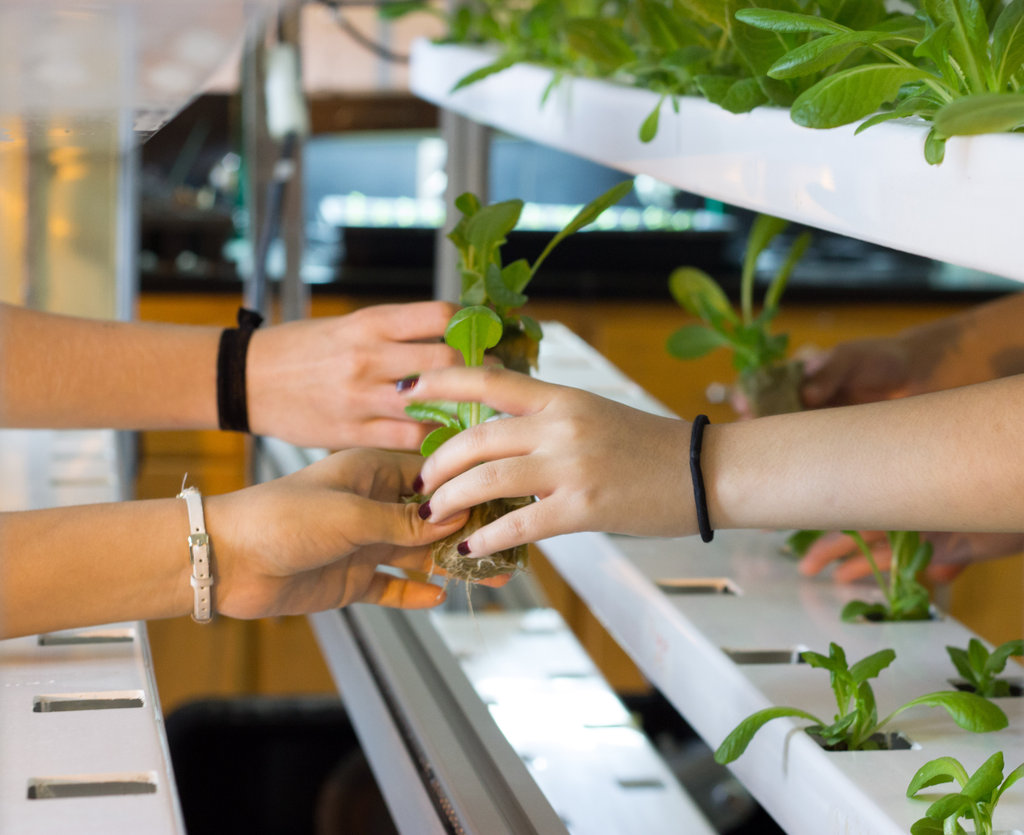Help Teens Promote Healthy Food Access in NYC
