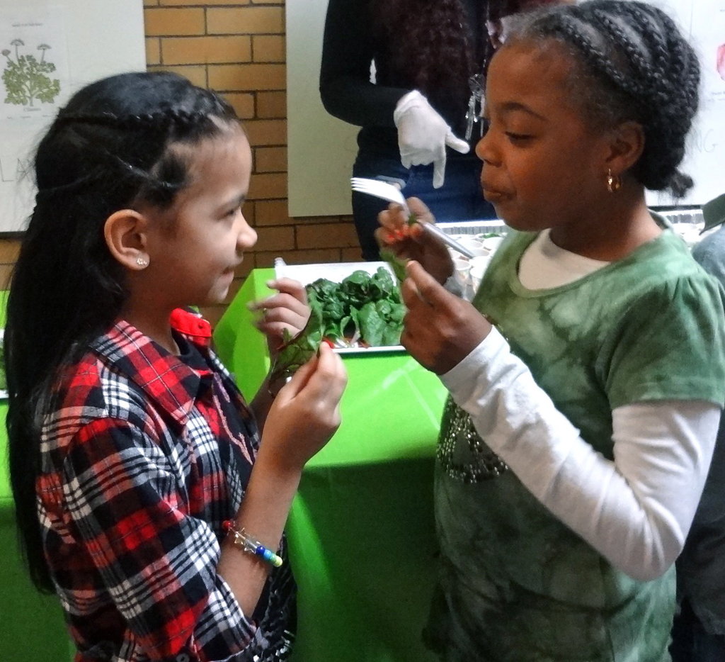 Help Teens Promote Healthy Food Access in NYC