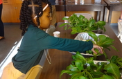 Help Teens Promote Healthy Food Access in NYC