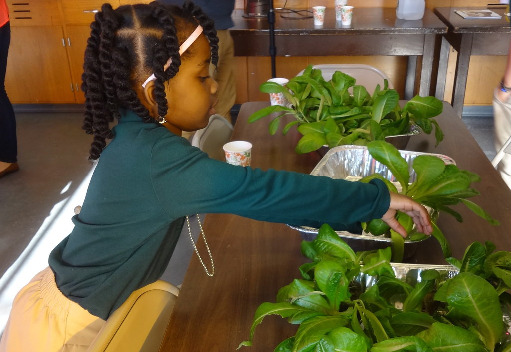 Help Teens Promote Healthy Food Access in NYC