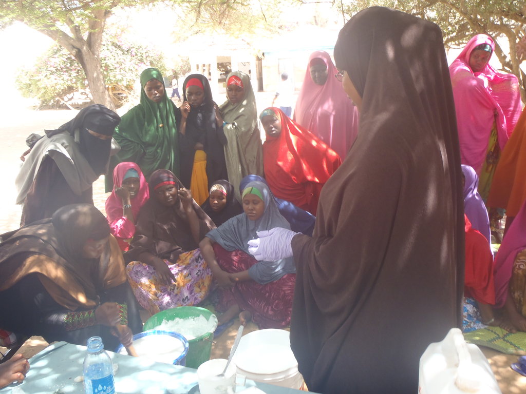 Train 40 Women Entrepreneurs in Somalia