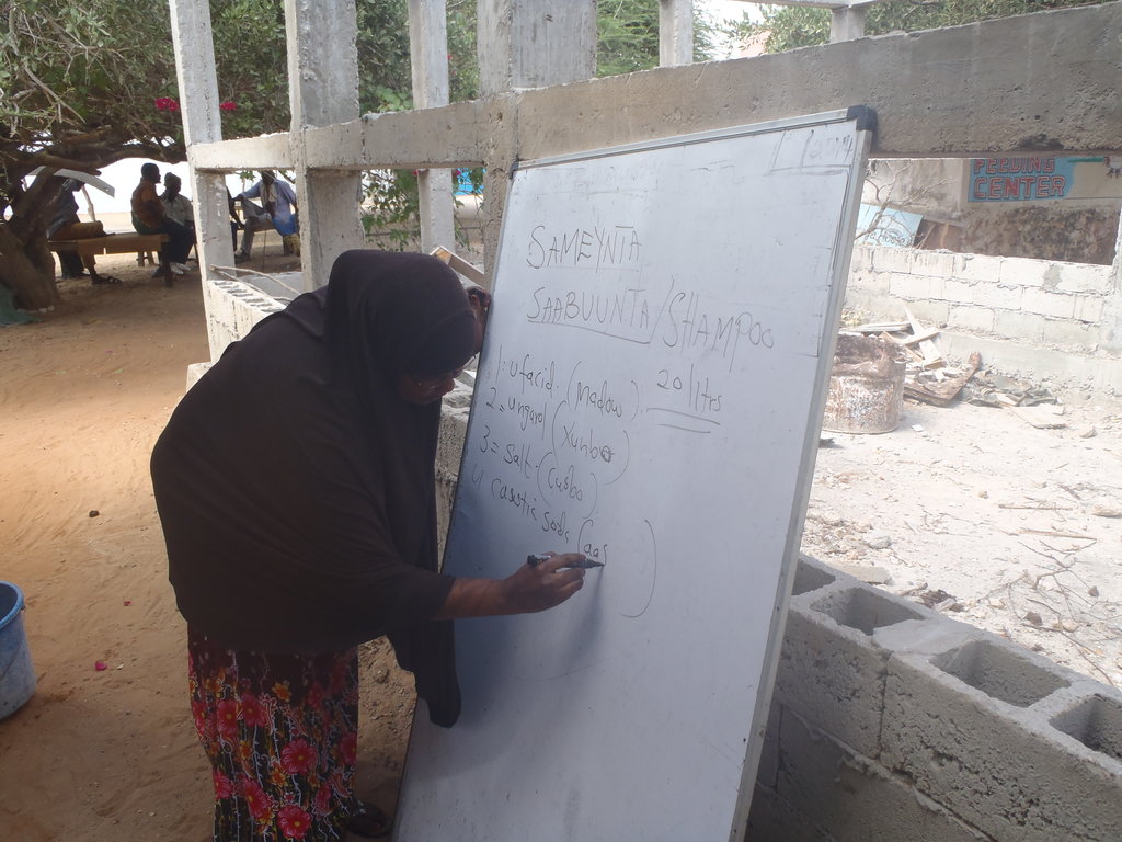Train 40 Women Entrepreneurs in Somalia