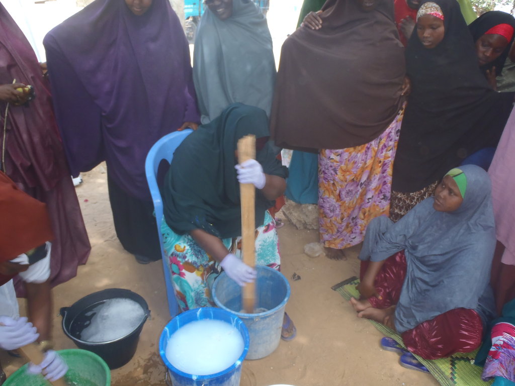 Train 40 Women Entrepreneurs in Somalia
