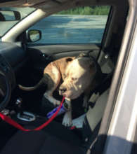 In the car!