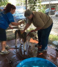 Getting a bath <3