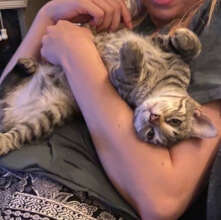 Norman