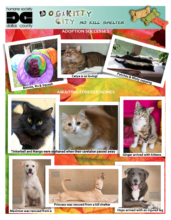 Humane Society Dallas County - 9-30-2015 Rpt