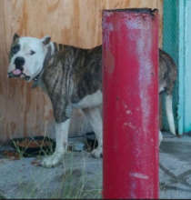 Buddy in abandoned building