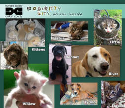 Some of the beneficiaries of your donations.